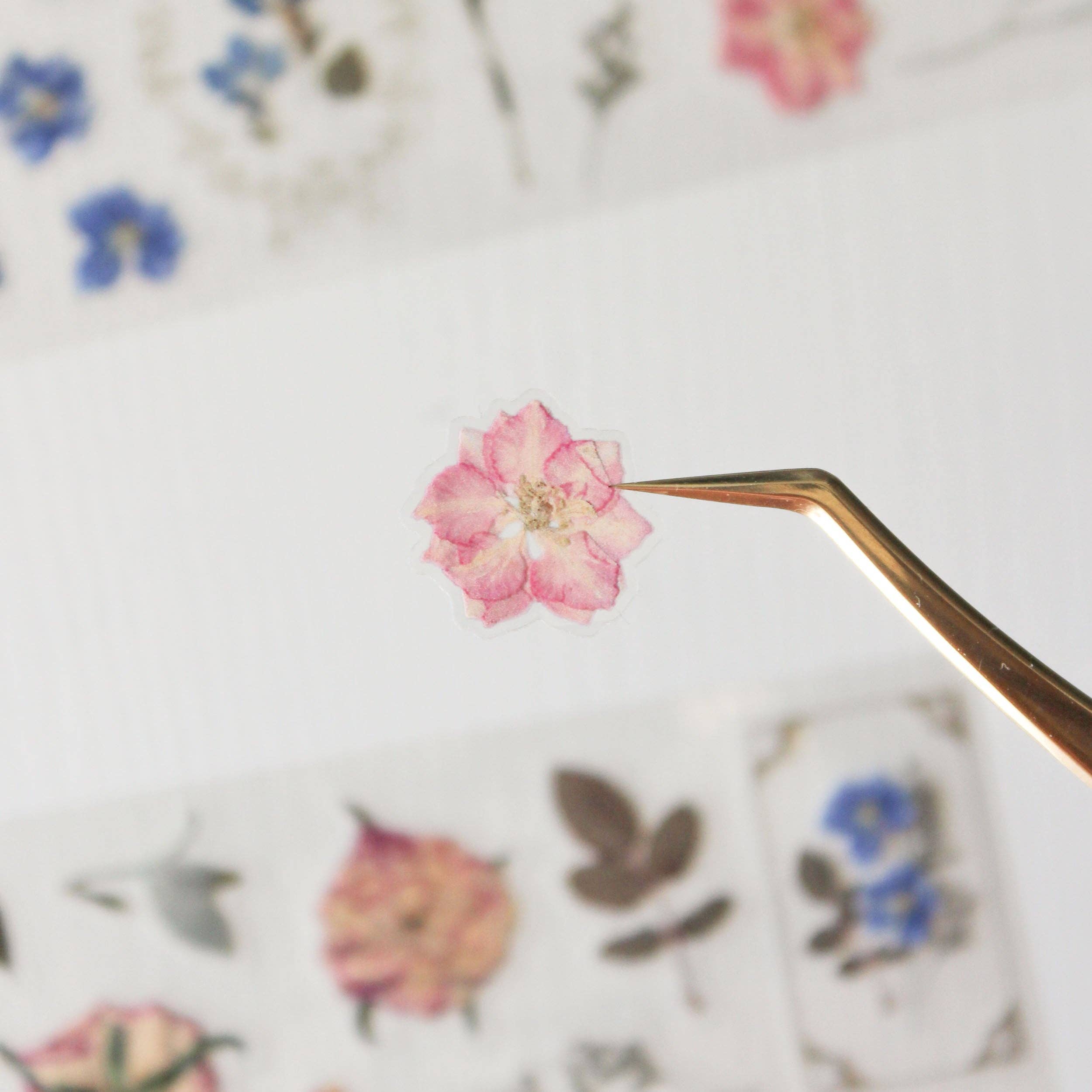 Pressed Petals Pre-cut PET Tape - Pressed Flowers Wide Tape