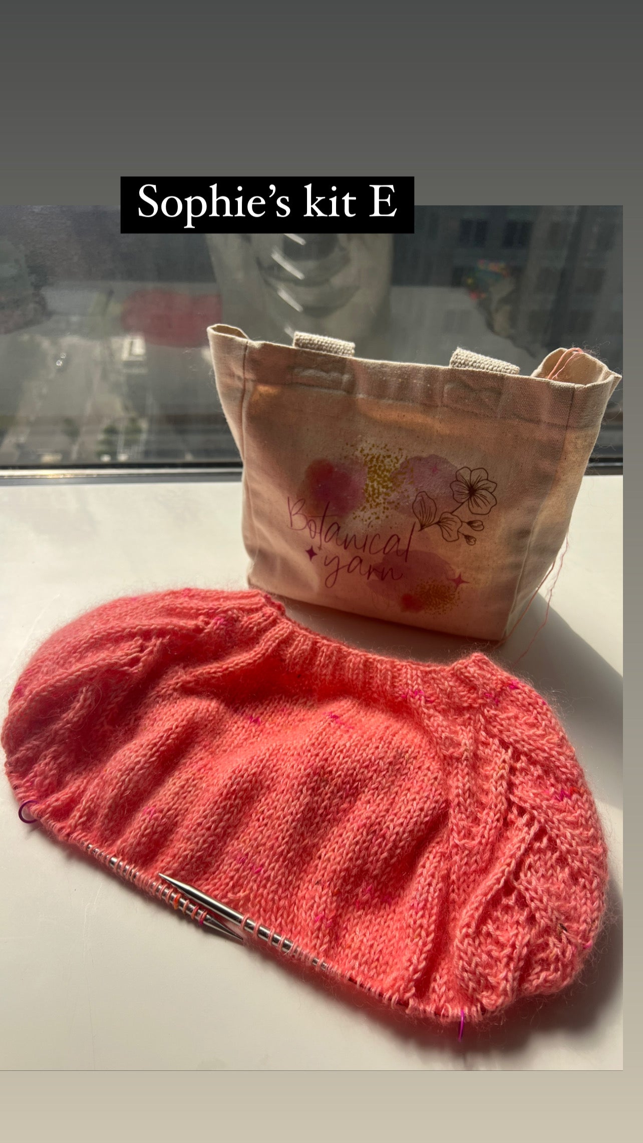 Lady Violet Sweater Kit Twinset & Purl Sweater Kit