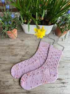 1 Month Botanical Yarn + Twinset & Purl Sock Club - April 2023