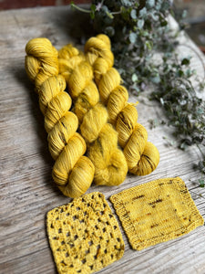 Dyed to order - Core Collection - Craspedia Speckled