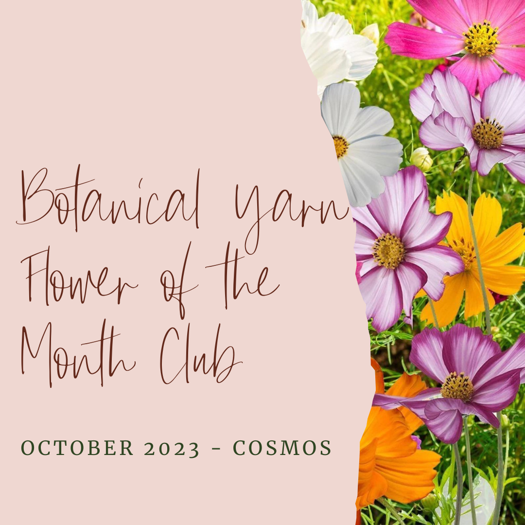 Botanical Yarn Flower of the Month Club - October - Cosmos