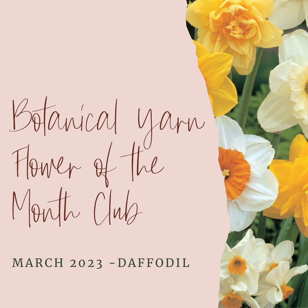 Botanical Yarn Flower of the Month Club - March -  Daffodil