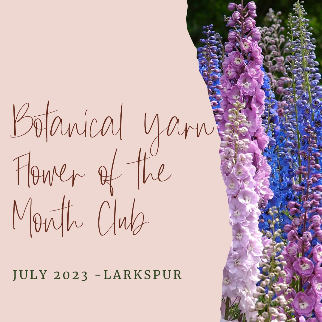 Botanical Yarn Flower of the Month Club - July - Larkspur