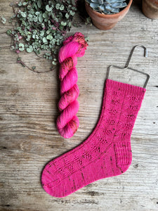 Botanical Yarn + Twinset & Purl Sock Club - November 2022