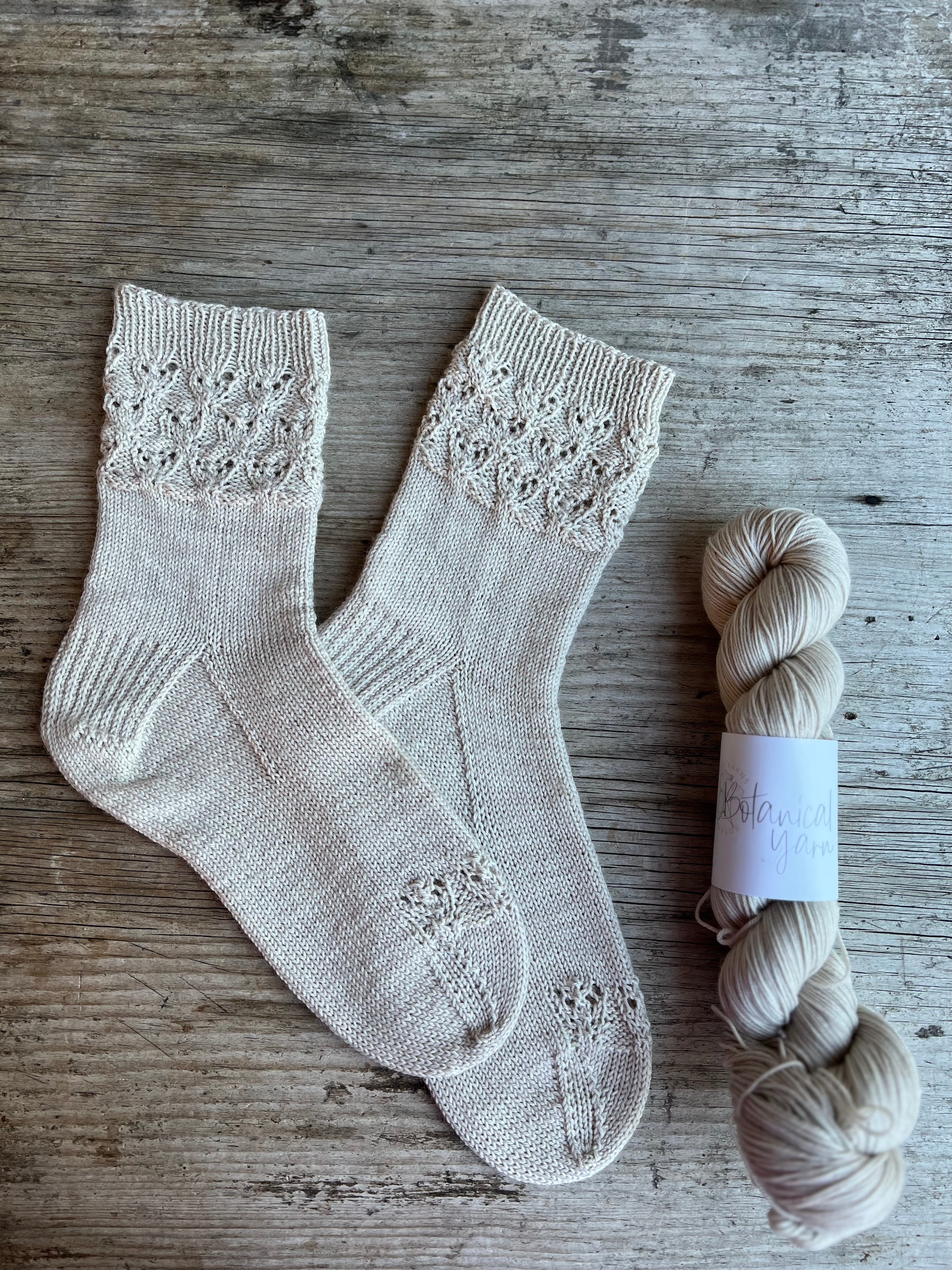 1 Month Botanical Yarn + Twinset & Purl Sock Club - January 2023