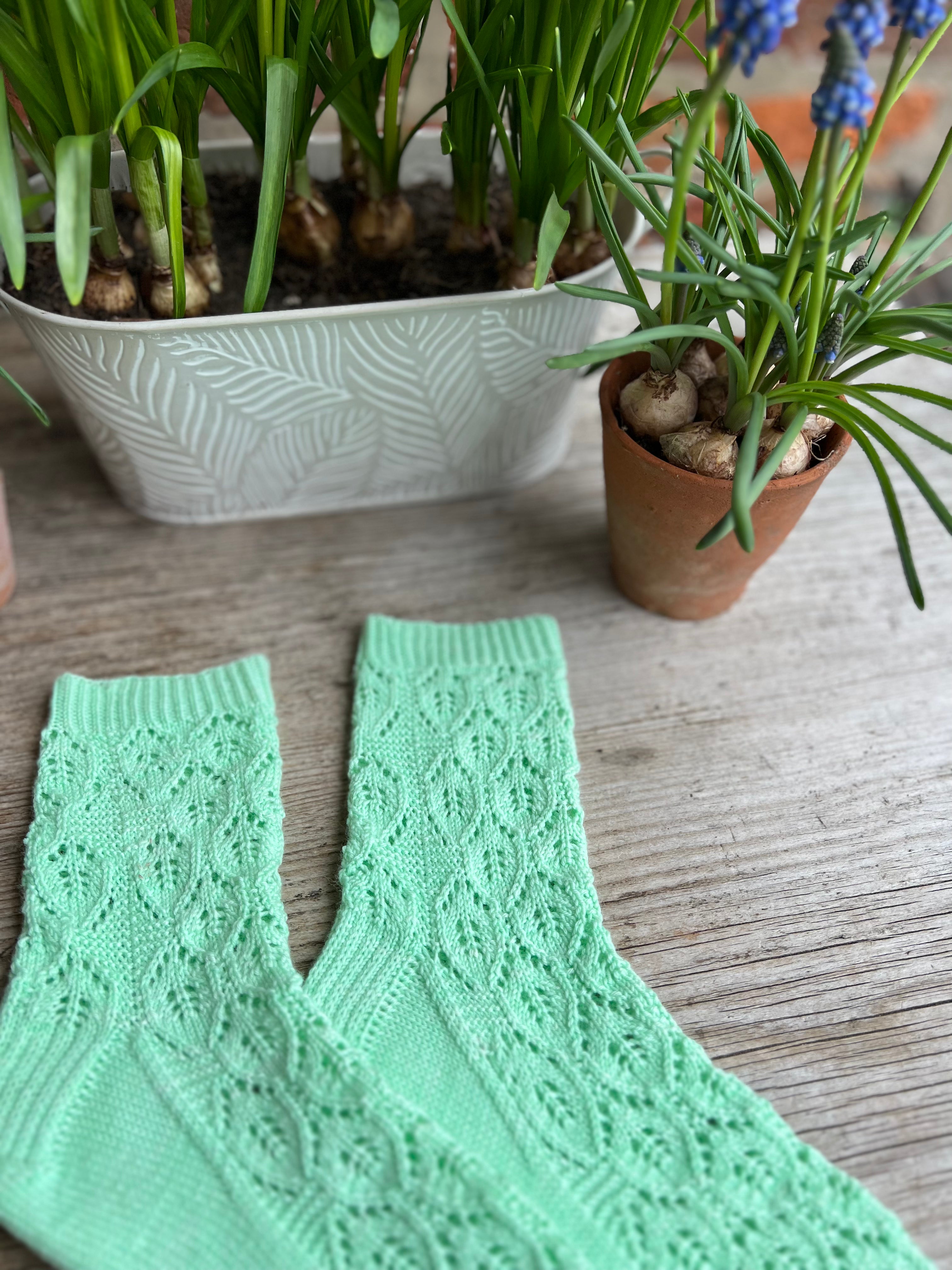 Salix caprea sock kit - Botanical Yarn + Twinset & Purl Sock Club - March 2023