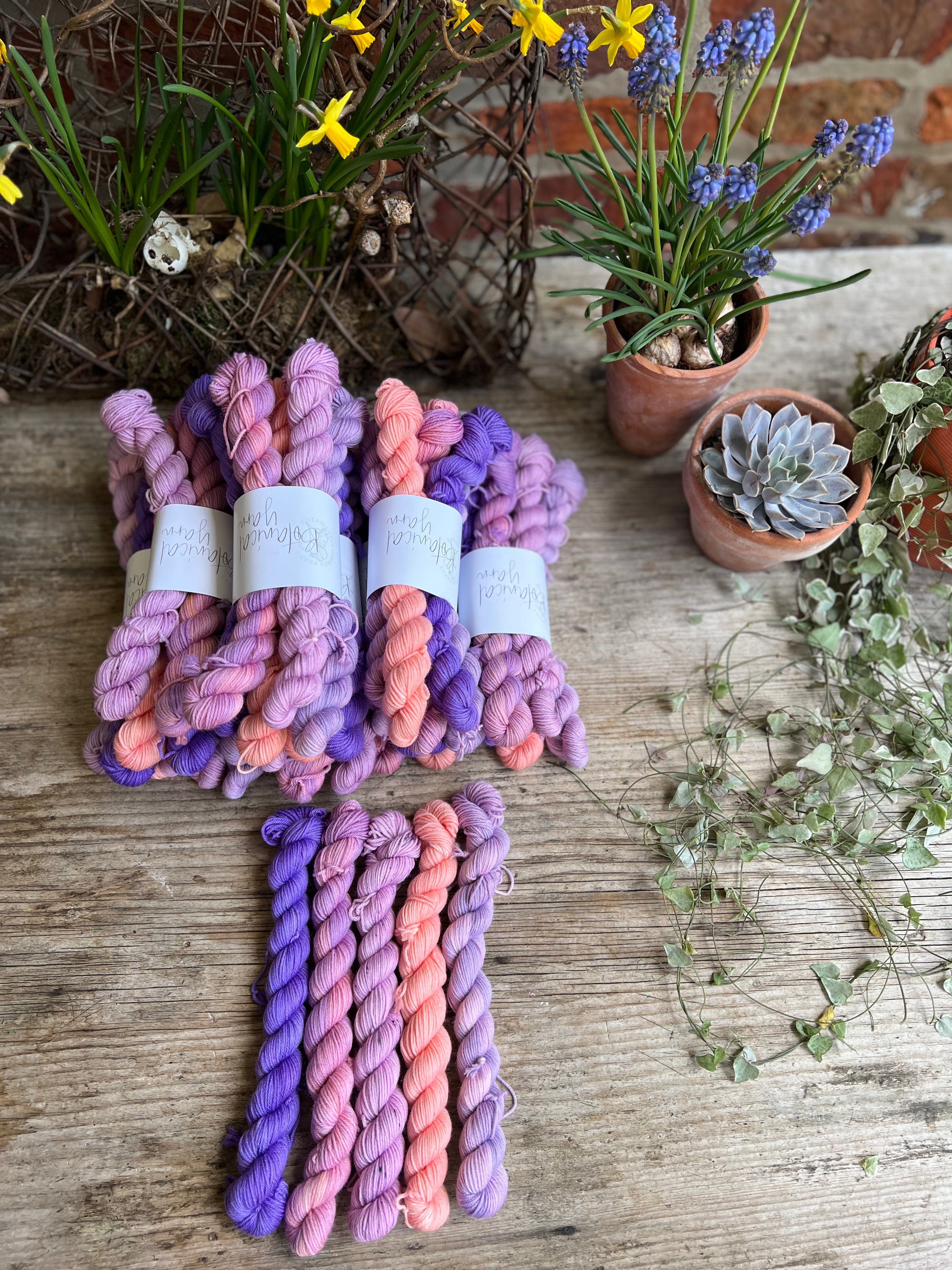 Botanical Yarn Flower of the Month Club -April - Sweet Pea